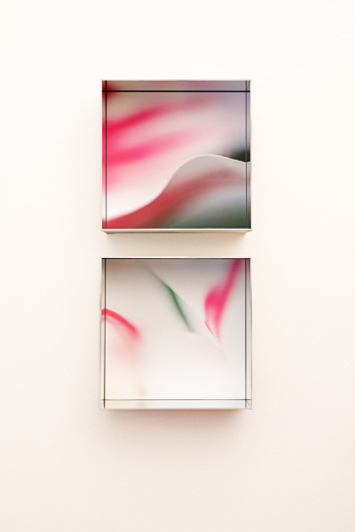 Close-Up | Yvonne Oswald Fotografie