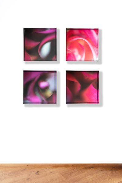 Close-Up | Yvonne Oswald Fotografie