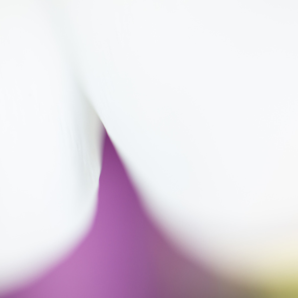 Close-Up | Yvonne Oswald Fotografie