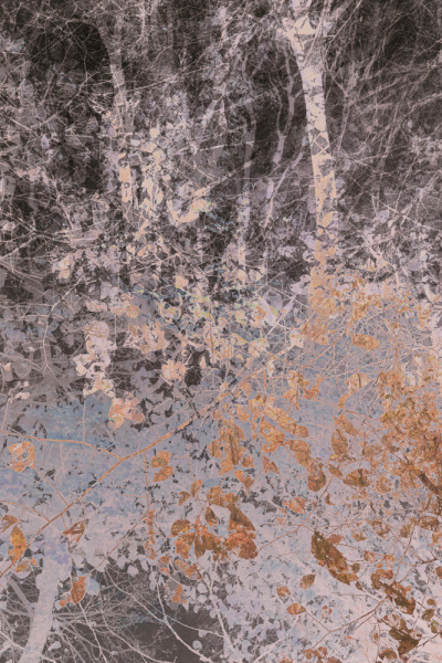 Transition | Yvonne Oswald Photography