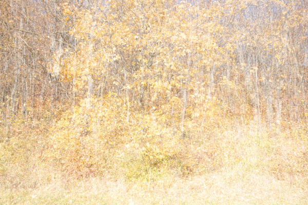 Transition | Yvonne Oswald Photography