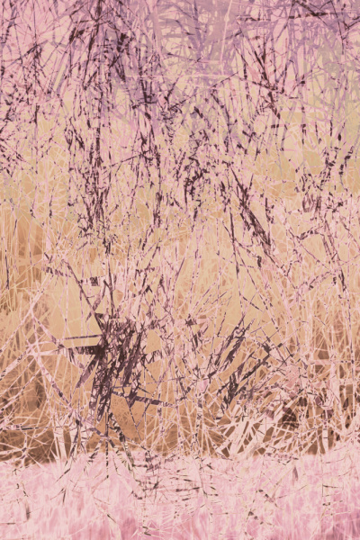 Transition | Yvonne Oswald Photography